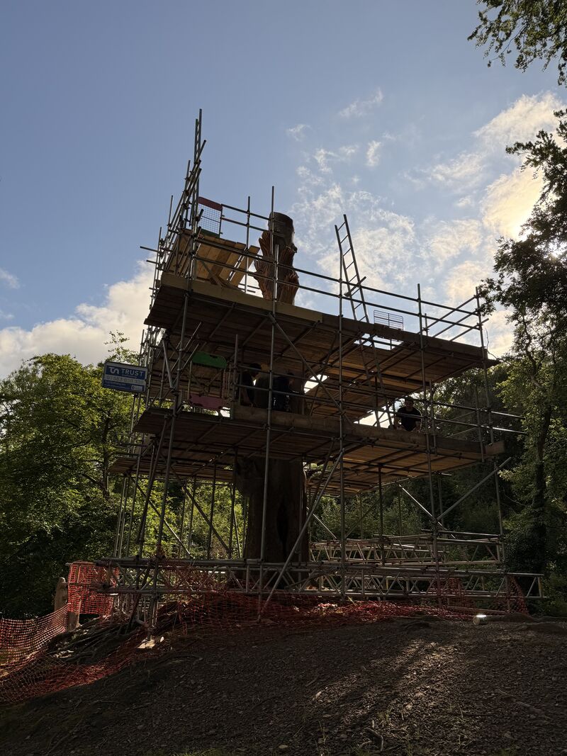 Domestic Scaffolding in Cardiff — image 8