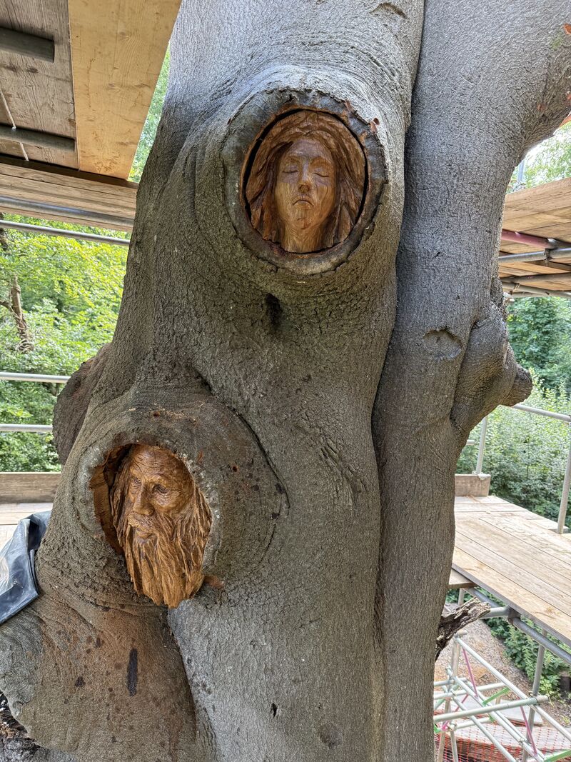 Solar Panel Scaffolding scaffolding in South Wales — image 6