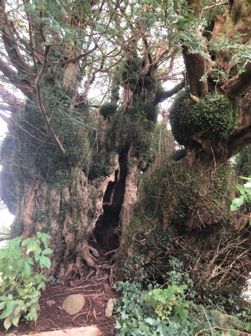 Defynnog Church — image 2