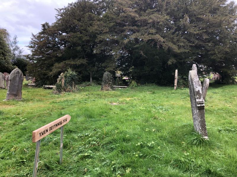 Defynnog Church — image 3